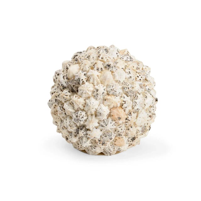 Transitional Shell Ball, Large For Sale - Image 3 of 4