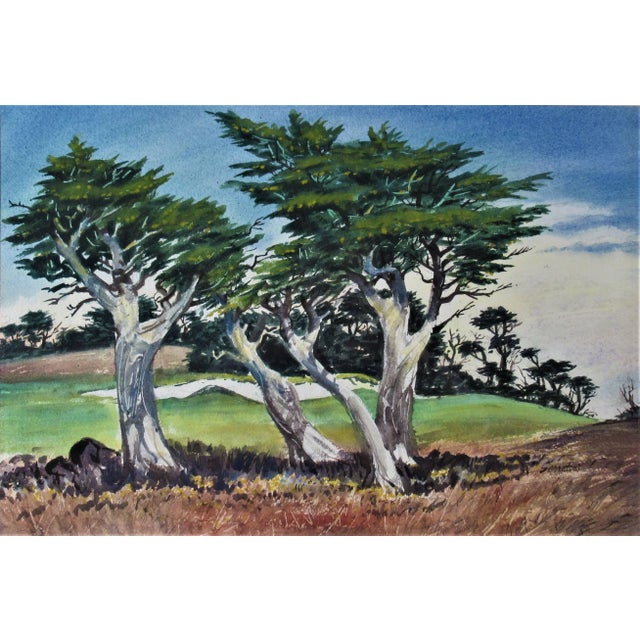 Artist: Frank Serratoni (American, 1908-1970) Title: Cypress Year: Circa 1950 Medium: Watercolor Paper: Watercolor Size of...