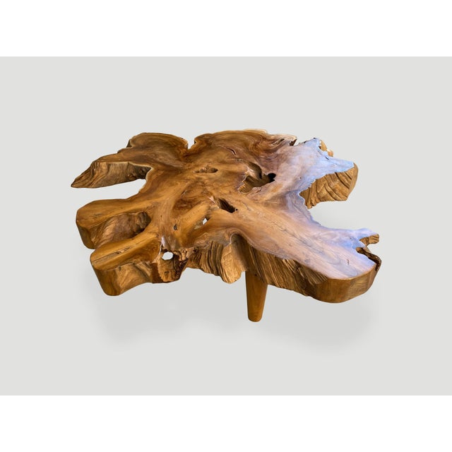 Andrianna Shamaris Amorphous Mid Century Style Coffee Table For Sale - Image 4 of 6