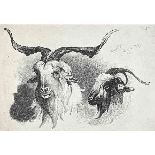 Antelope in the Roman Countryside is an original etching artwork realized after Charles Coleman (1807, Yorkshire - 1874,...