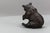 Black Antique Black Forest Carved Seated Bear Figure, 1890s For Sale - Image 8 of 18