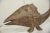 Mid 20th Century Vintage African Bronze Fish For Sale - Image 5 of 8