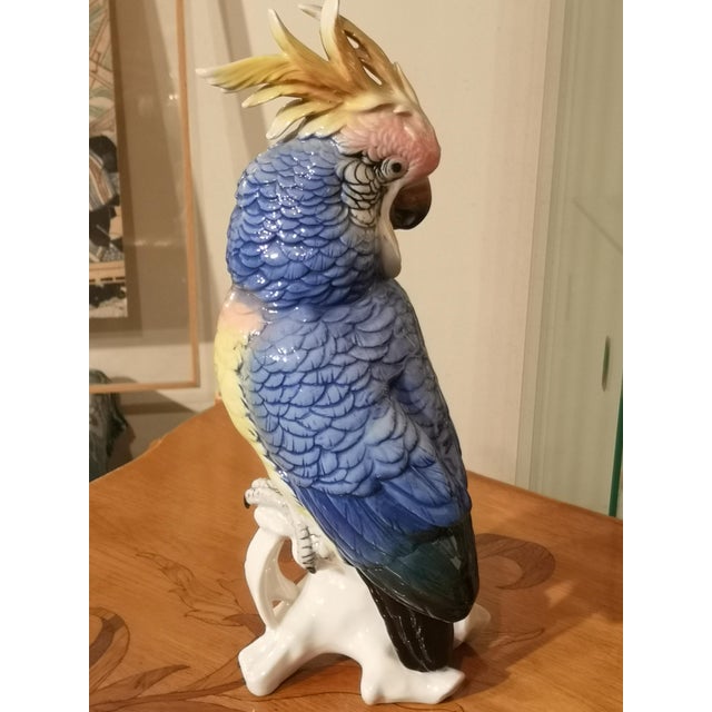 Ceramic Blue Porcelain Parrot Figurine by Karl Ens, Saxe, 19th Century For Sale - Image 7 of 12