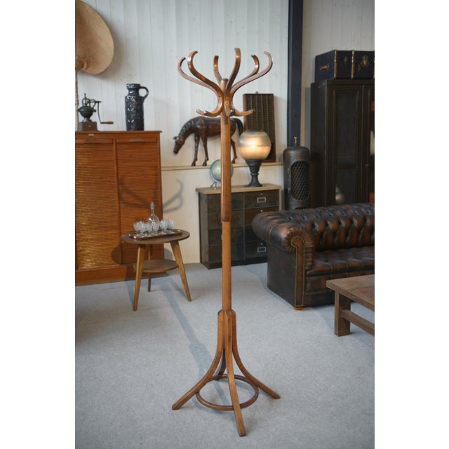 Wood Vintage Parrot Coat Rack from Baumann, 1970s For Sale - Image 7 of 8