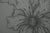 Gochka Charewicz, Grande fleur, Lithograph For Sale - Image 4 of 8