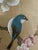 Beautiful Framed East Asian Botanical and Bird Painting For Sale - Image 9 of 12