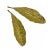 Mid-Century Modern Vintage Brass Tobacco Leaf Dishes - A Pair For Sale - Image 3 of 12