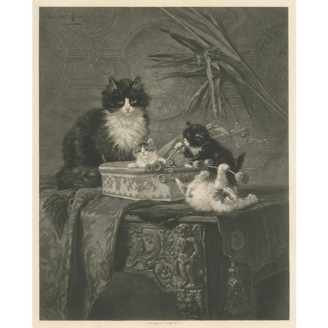 Henriette Ronner, Motherly Watch: Cats and Kittens, 1894, Print For Sale - Image 7 of 8