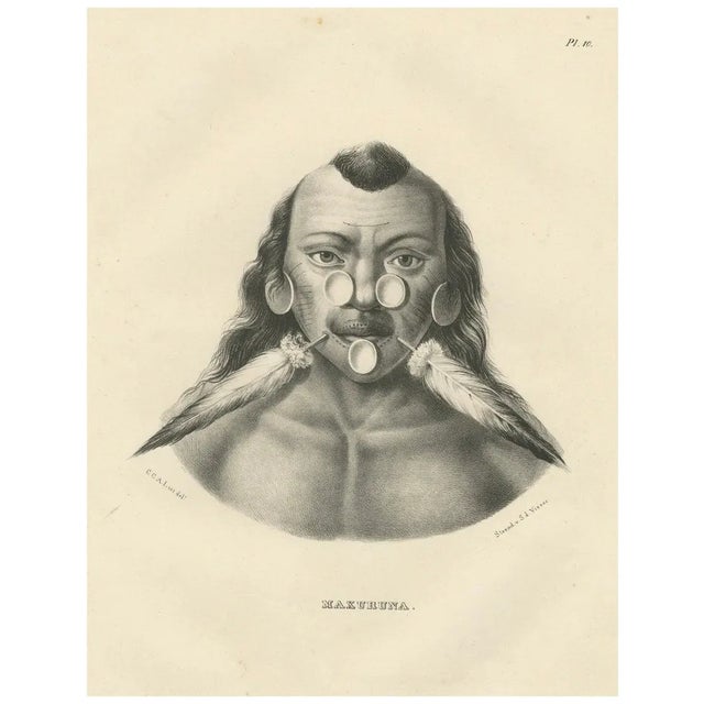 Karl Joseph Brodtmann, Member of the Maxuruna Amazon Tribe, 1836, Paper For Sale