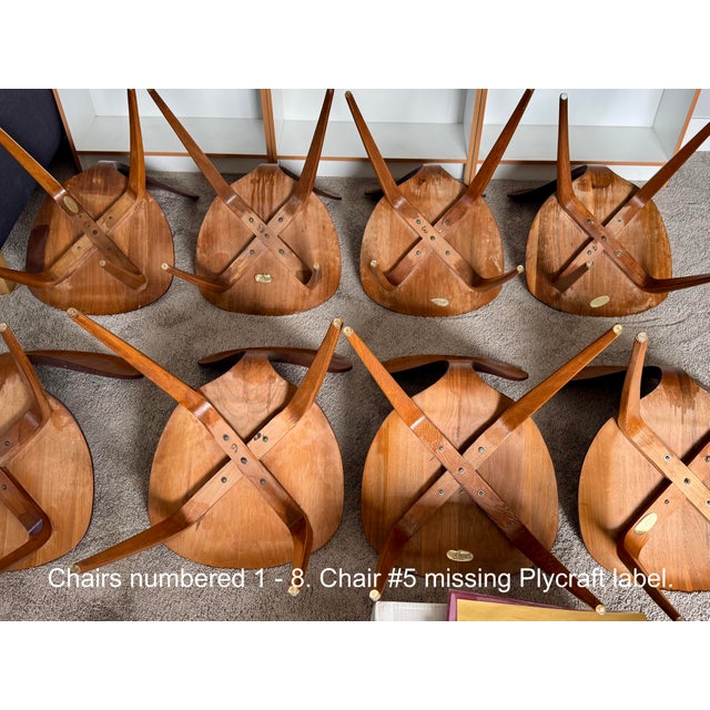 Plycraft 1950s Set of 8 Vintage Cherner Dining Chairs – First-Gen Plycraft Production With “Designed by Bernado” Labels For Sale - Image 4 of 12