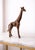 Enhance your home décor with this elegant antique-style giraffe sculpture, beautifully crafted from real metal and...