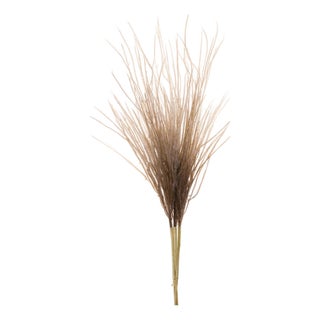 Grass Plume Bundle (Set of 2) For Sale
