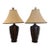 Pair of Steer Horn and Bone Table Lamps For Sale