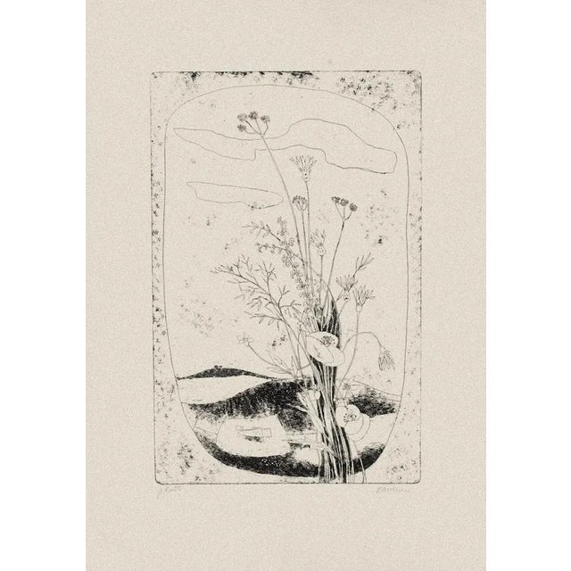 Flowers is a beautiful original etching by the Italian artist Paulucci. Signed on the lower right margin. Artist's proof...