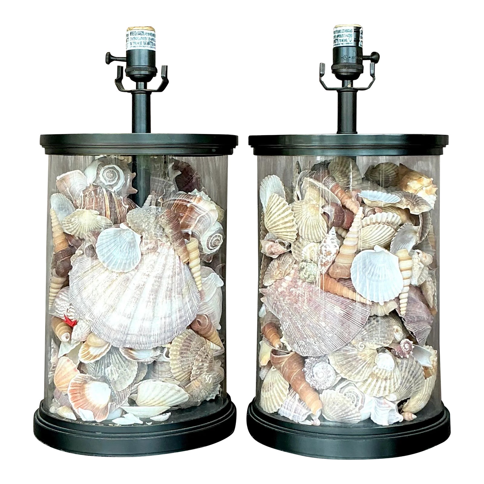 Picture of Vintage Coastal Bronze Shell Collector Lamps - a Pair | Chairish