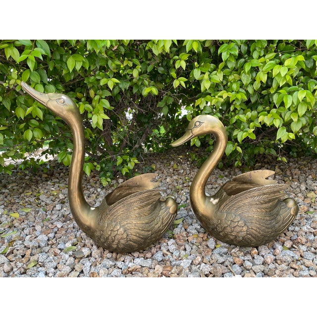 Mid Century Jumbo Brass Swan Sculptural Planters - a Pair For Sale - Image 4 of 12