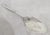 Antique Edwardian Sterling Silver Preserve Spoon, Sheffield, 1902 For Sale - Image 4 of 15