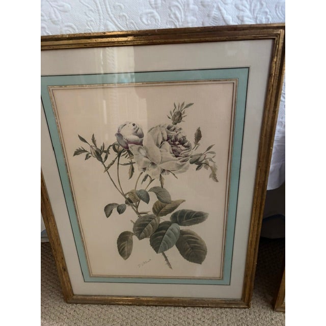 Pair of Pierre-Joseph Redoute Rose Prints. Reproduction of his rose prints. Matted and framed. Each print is 17.5" x 23.5"...