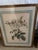 Pair of Pierre-Joseph Redoute Rose Prints. Reproduction of his rose prints. Matted and framed. Each print is 17.5" x 23.5"...