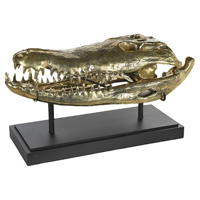 Brass Crocodile Skull For Sale