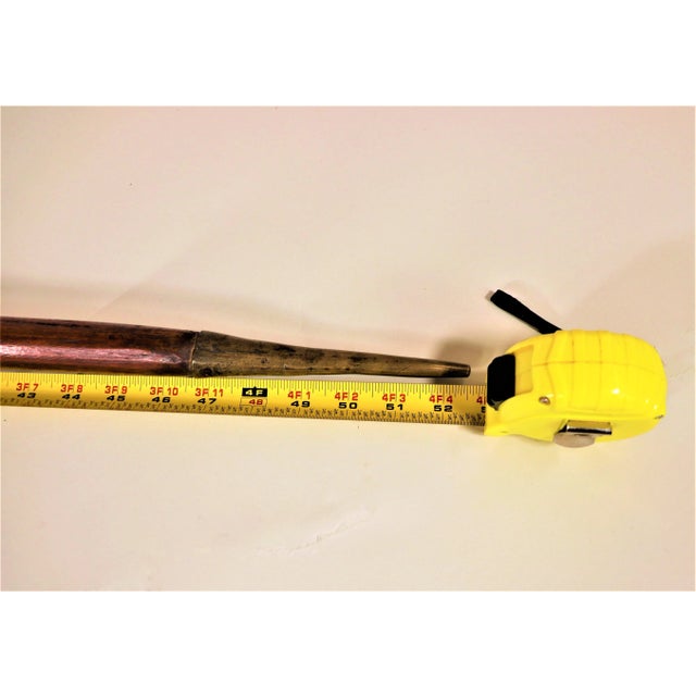 Early 19th Century Austrian Hiking Staff For Sale - Image 12 of 13