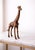 1970s Antique Copper Finish Metal Giraffe Sculpture For Sale - Image 5 of 10