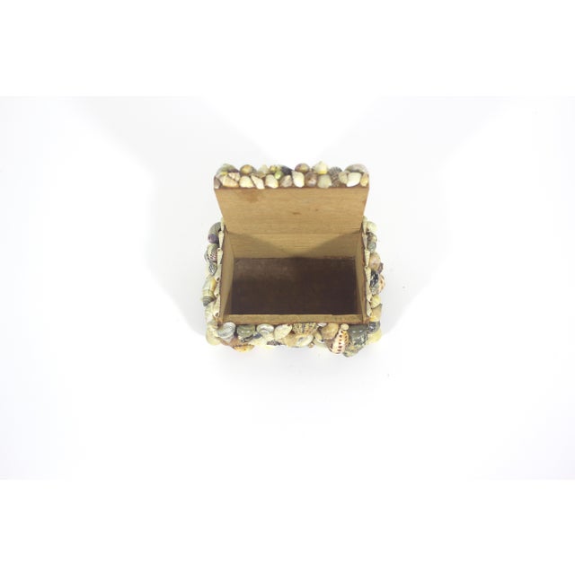 Vintage Snail Shell Encrusted Box For Sale - Image 9 of 11