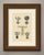 This is an original antique wood engraving, colored by hand, showing decorations of Prussia. At upper left a black cross...