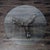 Vintage Glass Top Coffee Table For Sale - Image 4 of 5