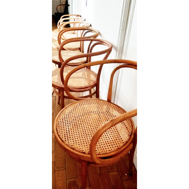 Thonet Set of Thonet Model 209 Armchairs by Michael Thonet, 1950s For Sale - Image 4 of 11