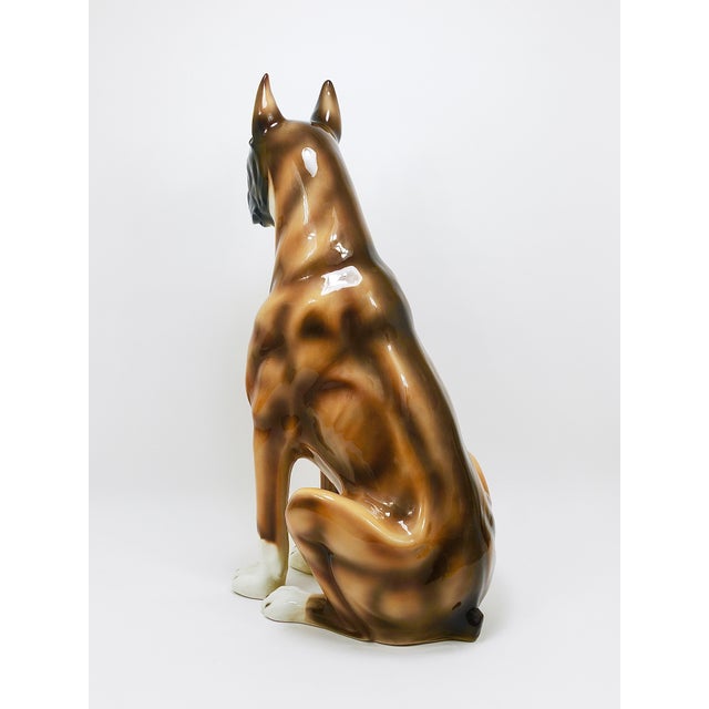 Boxer Dog Life-Size Majolica Statue Sculpture in Glazed Ceramic, Italy, 1970s For Sale - Image 11 of 18