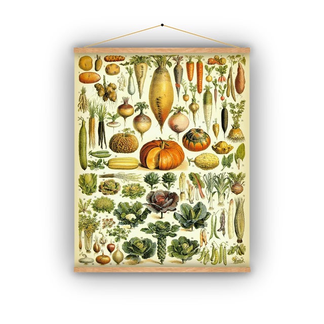 Antique 'Vegetable' Wall Hanging For Sale - Image 9 of 9