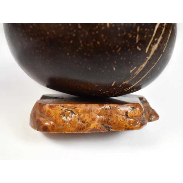 Vintage Handmade Natural Coconut Shell Lidded Box Display on Wooden Base For Sale - Image 12 of 13