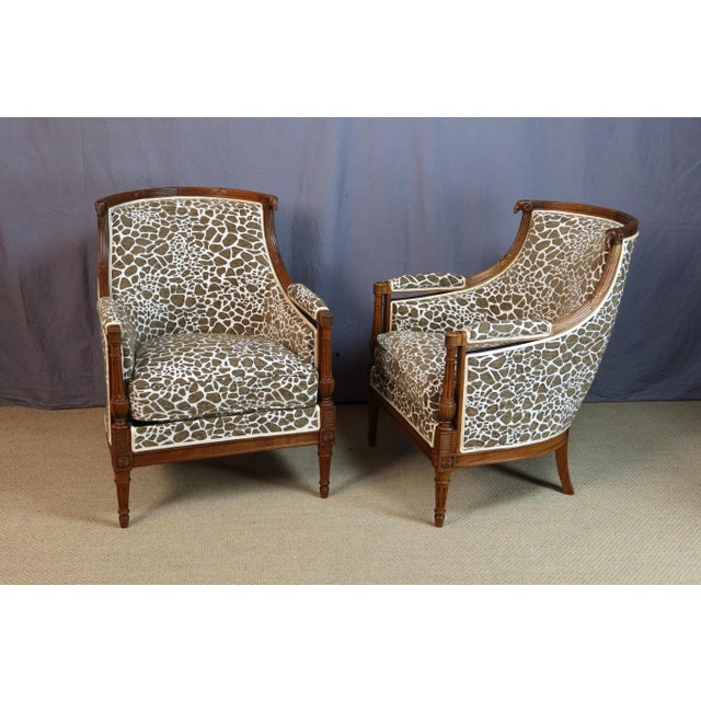 Brown 19th Century Bergère Armchairs, Set of 2 For Sale - Image 8 of 14