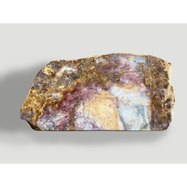 Andrianna Shamaris Beautiful Rare Petrified Wood Coffee Table For Sale - Image 14 of 18