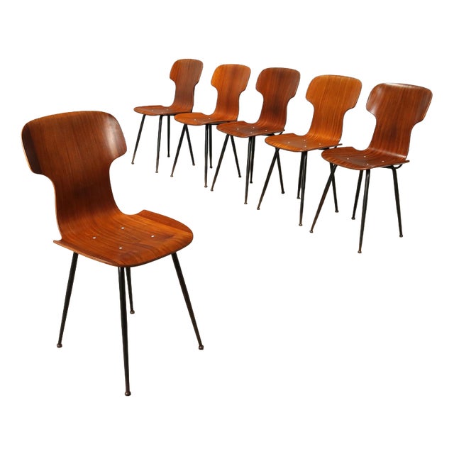 Vintage Bent Plywood Chairs, 1960s, Set of 6 For Sale