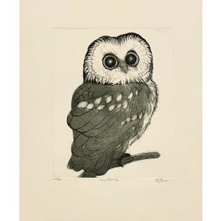 "Saw-Whet Owl" Etching by Christine McGinnis, Printed by David Lynch Ca. 1970 For Sale