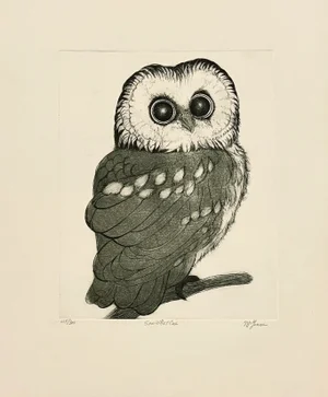 "Saw-Whet Owl" Etching by Christine McGinnis, Printed by David Lynch Ca. 1970