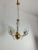Gold Mid-Century Hanging Light with Murano Glass Leaves, 1960s For Sale - Image 8 of 13