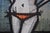 Bernard Buffet, The Bikini, 1967, Lithograph For Sale - Image 6 of 8