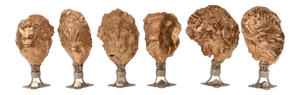 Golden Oyster Shell Place Card Holders, Set of 6