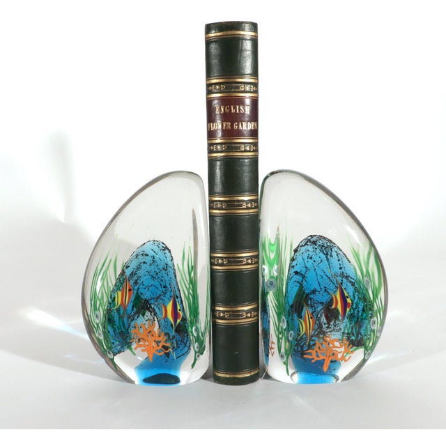 Art Glass Zellique Studios Coral Reef Blown and Molded Aquarium Bookends For Sale In Philadelphia - Image 6 of 14