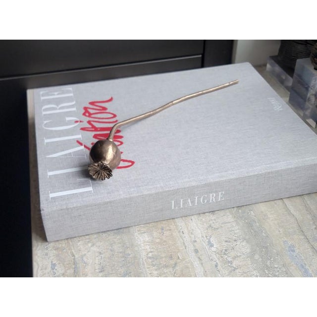 Contemporary Cast Bronze Poppy Pod Floral Decorative Object For Sale - Image 3 of 11