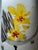 Mid 20th Century Mid 20th Century Chinese Hand Painted Porcelain Vase With Floral Decoration and Calligraphy For Sale - Image 5 of 6