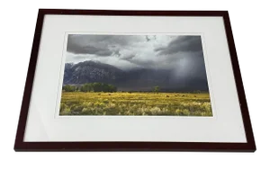 Lloyd Baggs "Soaring Hawk at Round Valley - Near Bishop, Ca" Signed Photograph C.2010