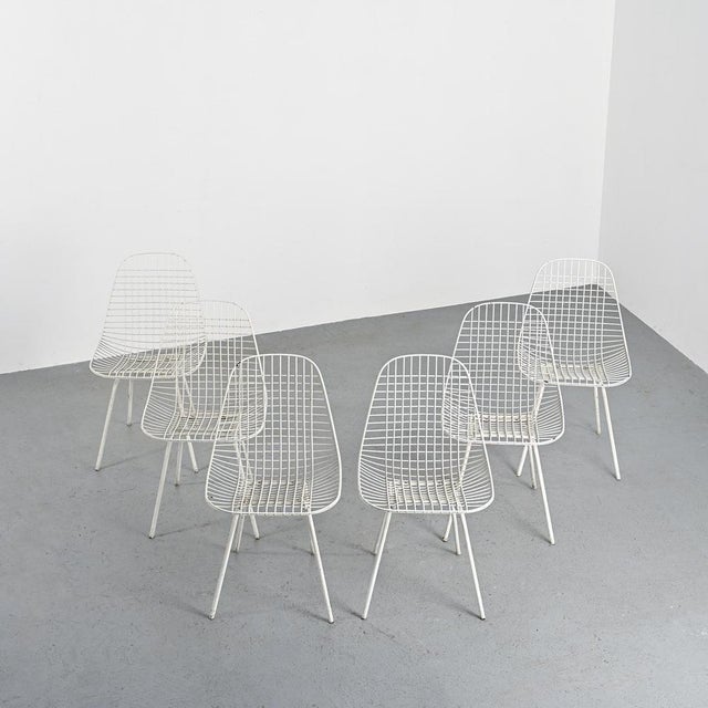 Bikini Chairs by Charles & Ray Eames for Herman Miller, 1950s, Set of 6 For Sale - Image 12 of 12