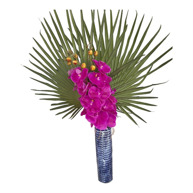 Palm Royale Orchid For Sale
