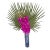 Palm Royale Orchid For Sale