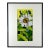 Framed Watercolor Fine Art Giclee Print White Daisy For Sale