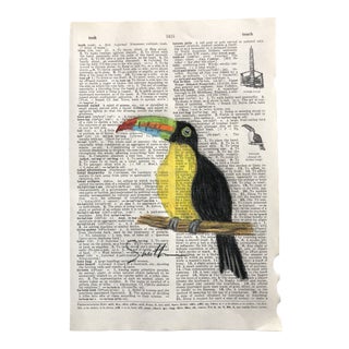 “Toucan” Contemporary Colored Pencil Drawing on Dictionary Page For Sale